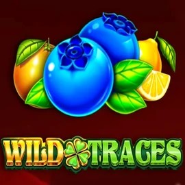 Wild Traces online slot from Amusnet Interactive – play at dragoniaa.es